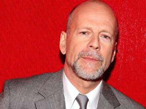 Tapety na pulpit Bruce Willis