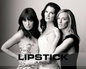 Fondos de escritorio Lipstick Jungle (serie de televisión)