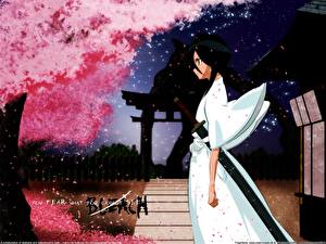 Hintergrundbilder Bleach: Memories of Nobody Anime