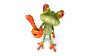 Picture Frogs White background 3D Graphics Animals