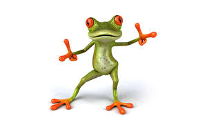 Wallpaper Frogs White background 3D Graphics Animals