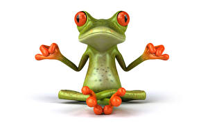 Pictures Frogs White background 3D Graphics Animals