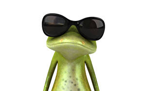 Bakgrunnsbilder Frosker Briller Hvit bakgrunn 3D grafikk Dyr