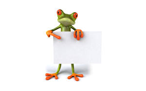Pictures Frogs White background 3D Graphics Animals