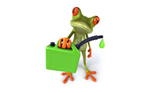Wallpaper Frog White background 3D Graphics Animals