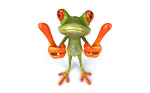 Bakgrunnsbilder Frosken Hvit bakgrunn 3D grafikk Dyr