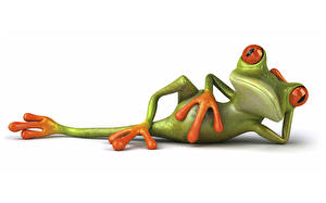 Image Frog White background 3D Graphics Animals