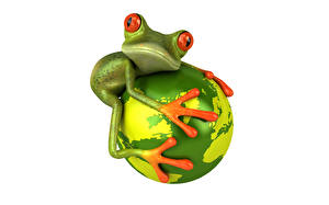 Bakgrunnsbilder Frosken Hvit bakgrunn 3D grafikk Dyr