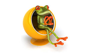 Pictures Frog White background 3D Graphics Animals