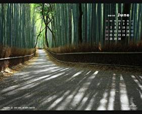 Fonds d'écran Routes Bambou