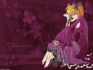 Bakgrundsbilder på skrivbordet Princess Ai Anime