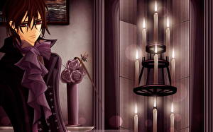 Hintergrundbilder Vampire Knight Anime