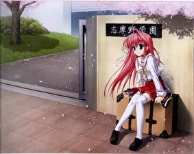 Bakgrundsbilder på skrivbordet Gift: Eternal Rainbow Anime