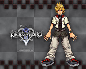 Bakgrundsbilder på skrivbordet Kingdom Hearts dataspel