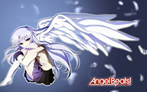 Fonds d'écran Angel Beats!