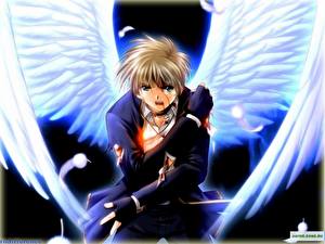 Bakgrundsbilder på skrivbordet Angel's Feather Anime
