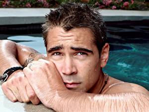 Tapety na pulpit Colin Farrell