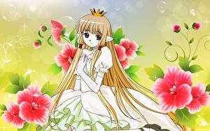 Wallpapers Chobits