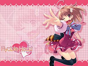 Pictures Flyable Heart vdeo game