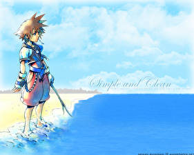 Sfondi desktop Kingdom Hearts gioco