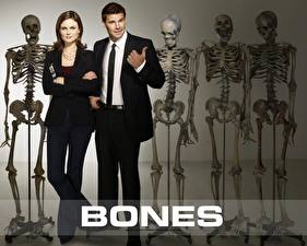 Bureaubladachtergronden Bones (televisieserie) Films