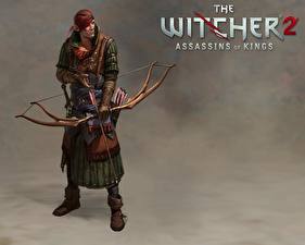 デスクトップの壁紙、、ウィッチャー、The Witcher 2: Assassins of Kings、
