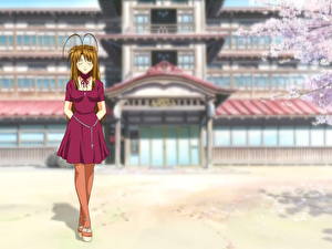 Desktop hintergrundbilder Love Hina Anime