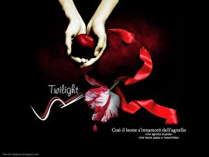 Fonds d'écran Twilight : La Fascination Twilight