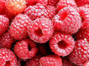 Pictures Fruit Raspberry Food