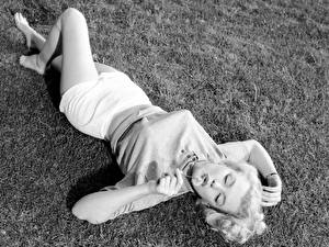 Fonds d'écran Marilyn Monroe