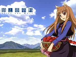 Images Spice and Wolf