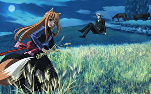 Wallpaper Spice and Wolf