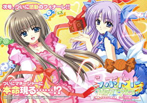 Tapety na pulpit Lovedol: Lovely Idol Anime