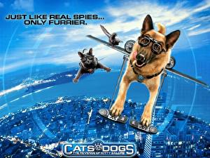 Desktop wallpapers Cats &amp; Dogs Movies
