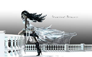 Bakgrundsbilder på skrivbordet Final Fantasy Final Fantasy VIII Datorspel