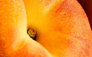 Fotos Obst Pfirsiche Lebensmittel