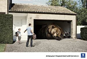 Bilder Marke Ein Bär Garage