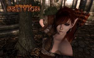 Image The Elder Scrolls The Elder Scrolls IV: Oblivion Games