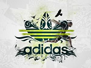 Bureaubladachtergronden Merken Adidas Logo embleem