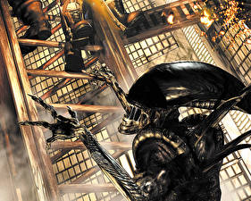 Bakgrundsbilder på skrivbordet Predator Alien film Predator Datorspel