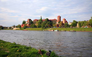 Fonds d'écran Château fort Pologne Villes