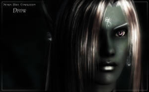 Papel de Parede Desktop The Elder Scrolls The Elder Scrolls IV: Oblivion Xenius Race Compilation videojogo