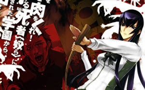Bilder Gakuen Mokushiroku: High School of the Dead Anime