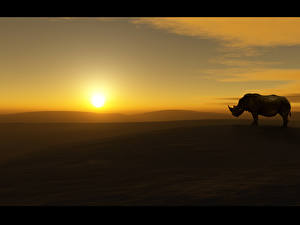 Фотография Носороги животное