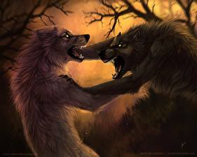Tapety na pulpit Magiczne zwierzęta Wilkołak wilk