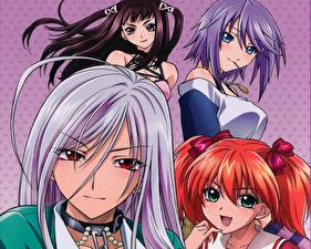 Tapety na pulpit Rosario to Vampire