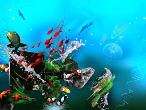 Fotos Unterwasserwelt