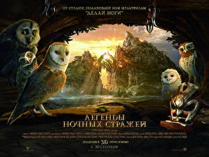 Wallpapers Legend of the Guardians: The Owls of Ga’Hoole Cartoons