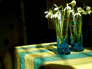 Papel de Parede Desktop Galanthus flor