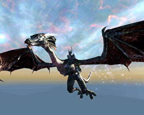 Hintergrundbilder The Elder Scrolls The Elder Scrolls IV: Oblivion Spiele